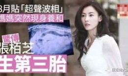 张柏芝狗仔爆料视频大全,揭秘娱乐圈幕后真相